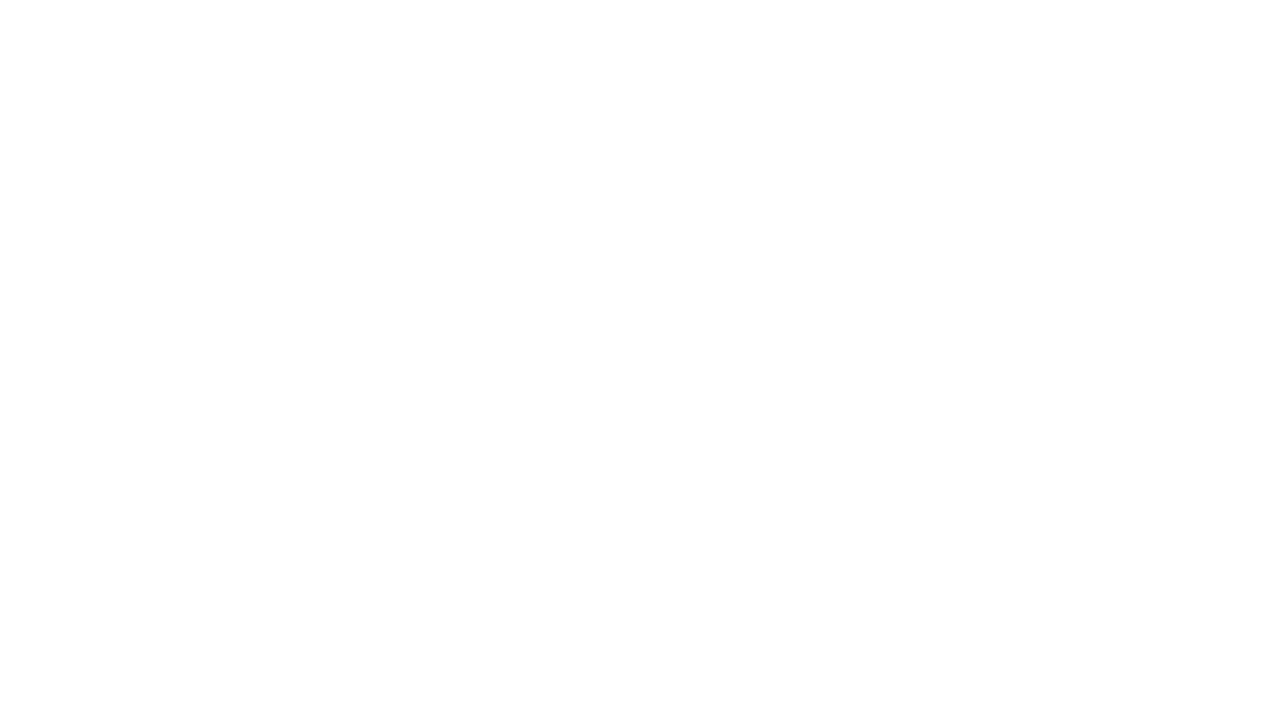 Evolution of the logo
